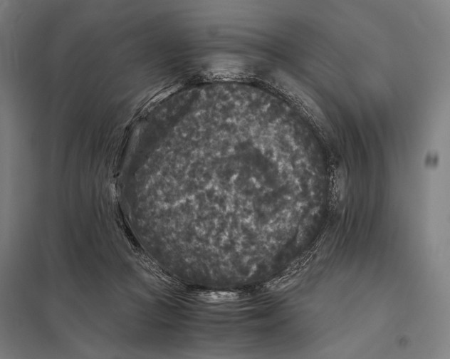 X0000097760361200803281639