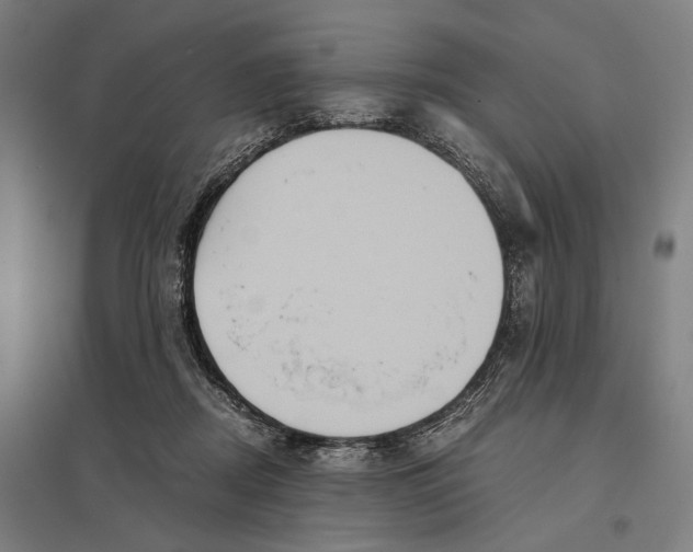 X0000097760362200803281639