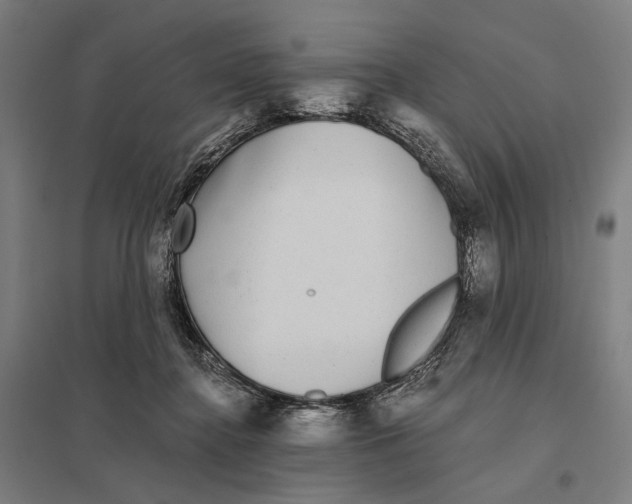 X0000097760364200803281639