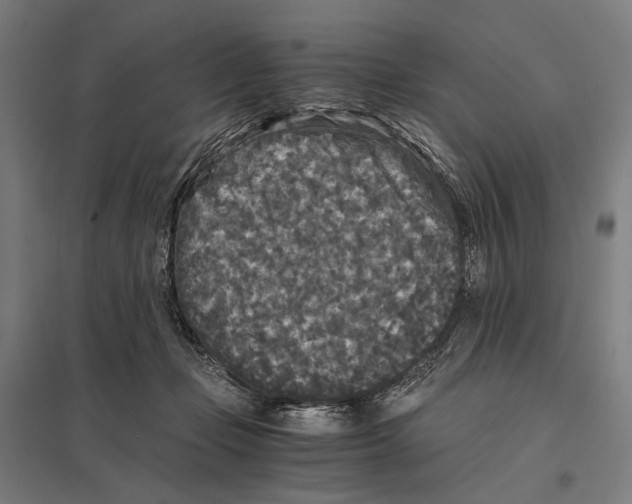 X0000097760365200803281639