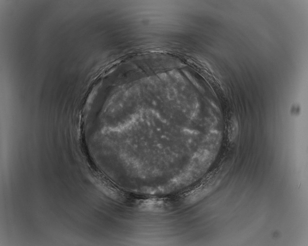 X0000097760366200803281639