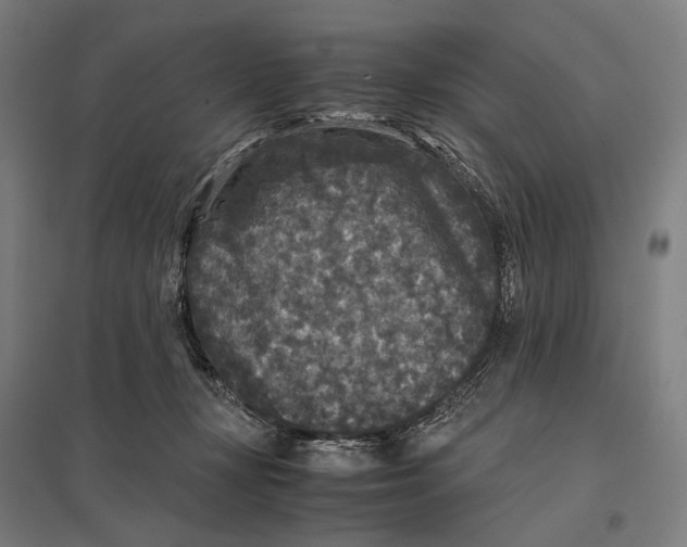 X0000097760367200803281639