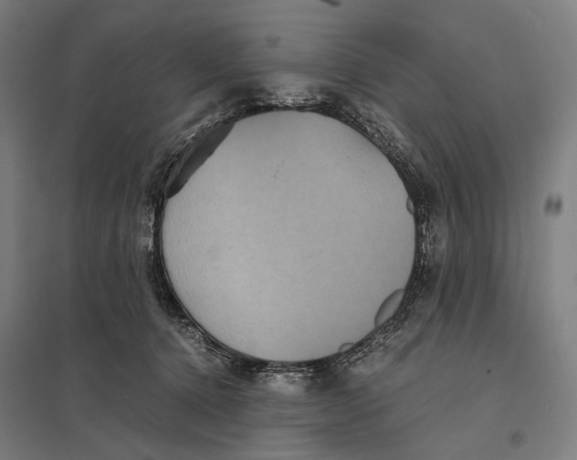 X0000097760368200803281639