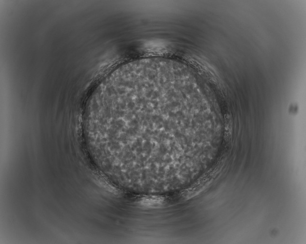 X0000097760369200803281639