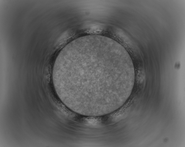 X0000097760370200803281639