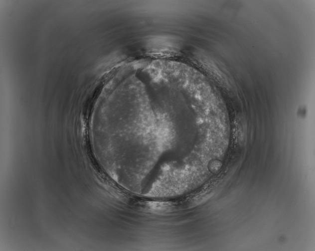 X0000097760371200803281639