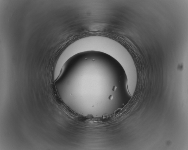 X0000097760372200803281639