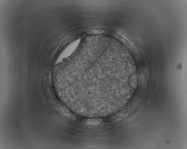 X0000097760373200803281639