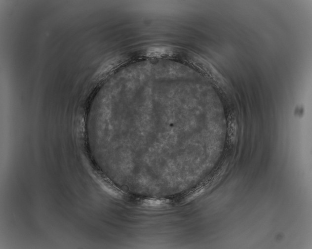 X0000097760375200803281639