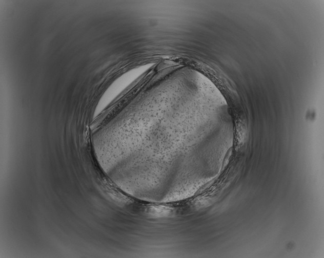 X0000097760376200803281639