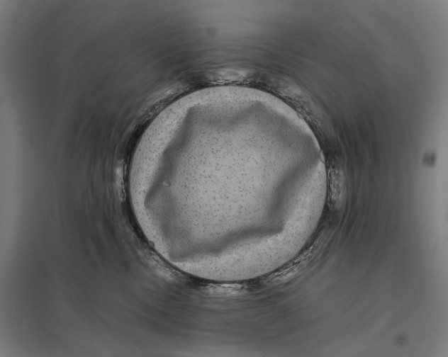 X0000097760378200803281639