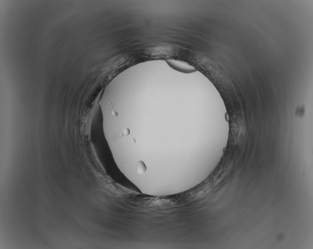 X0000097760379200803281639