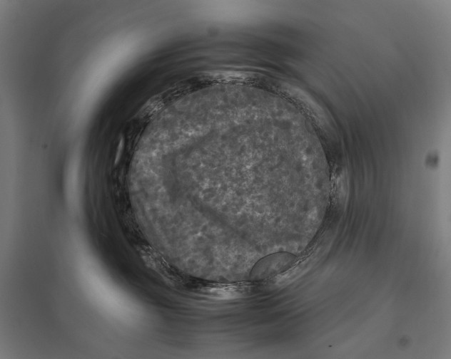 X0000097760381200803281639