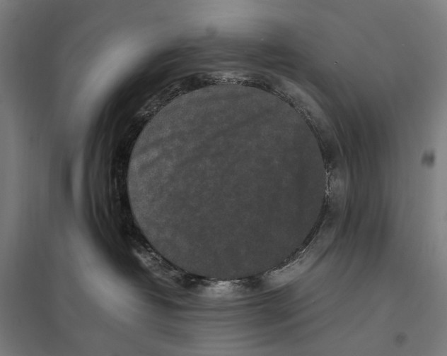 X0000097760382200803281639