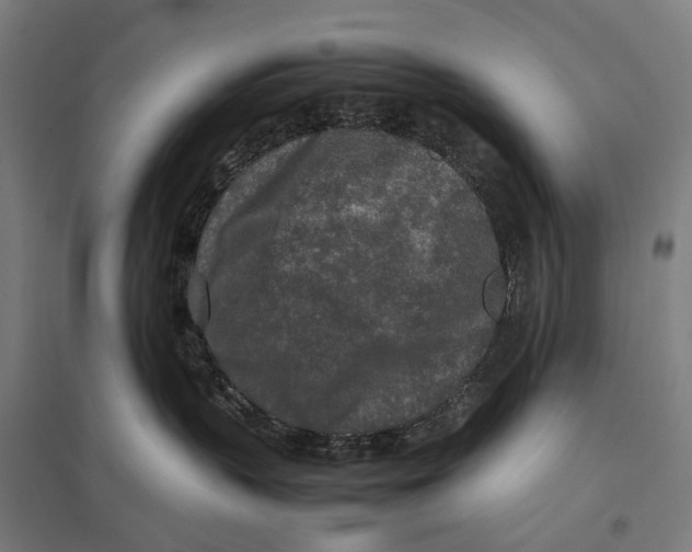 X0000097760383200803281639