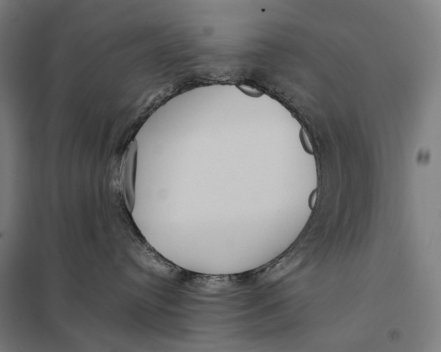 X0000097760384200803281639