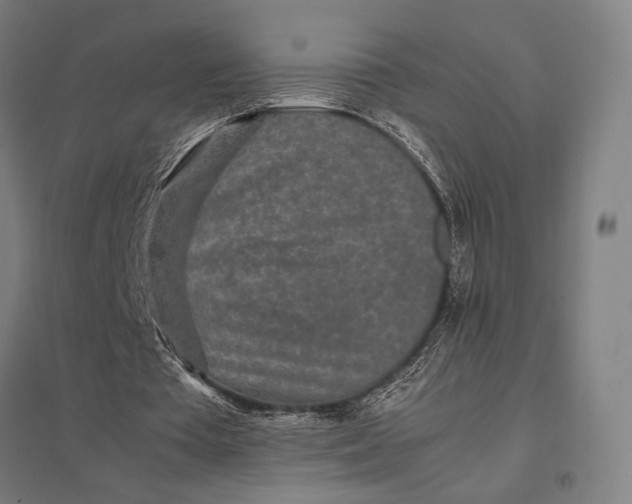 X0000097760385200803281639