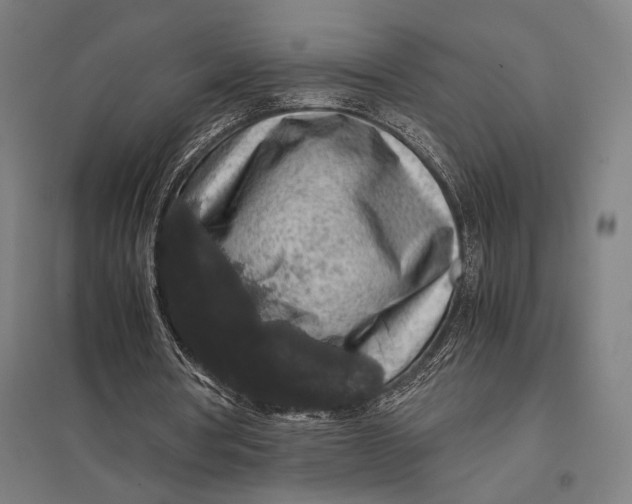 X0000097760386200803281639