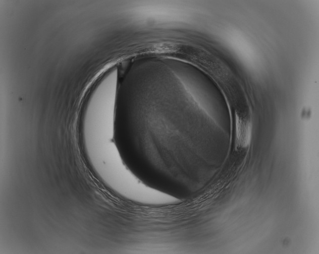 X0000097760387200803281639