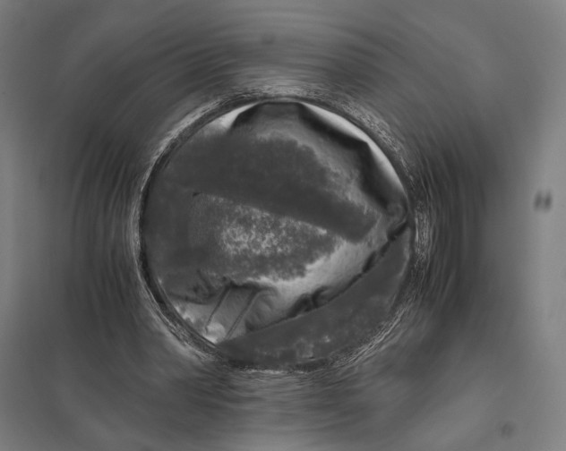 X0000097760390200803281639