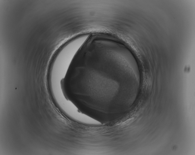 X0000097760391200803281639