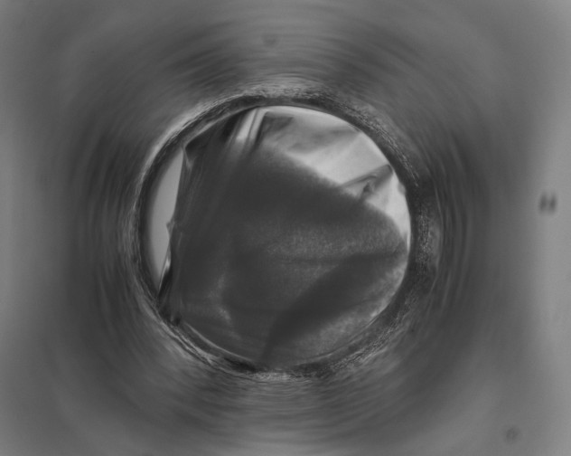 X0000097760392200803281639