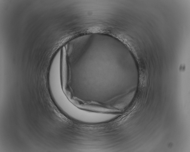 X0000097760393200803281639