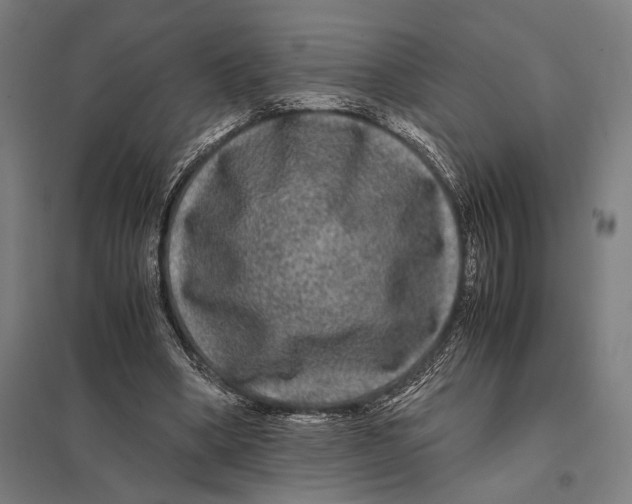 X0000097760394200803281639