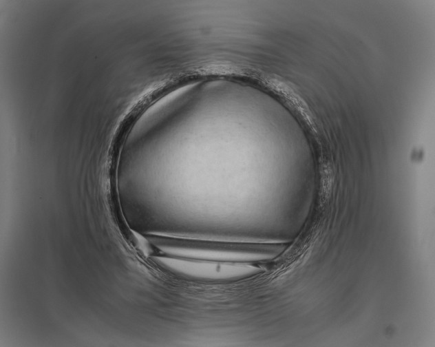 X0000097760395200803281639