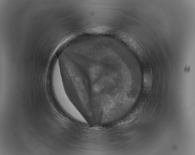 X0000097760396200803281639