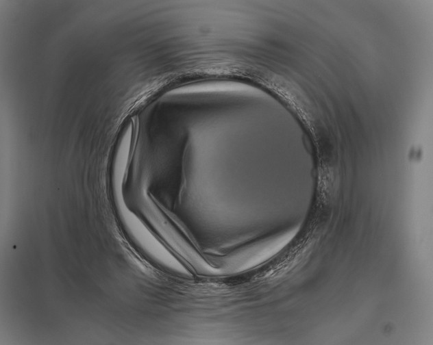 X0000097760397200803281639