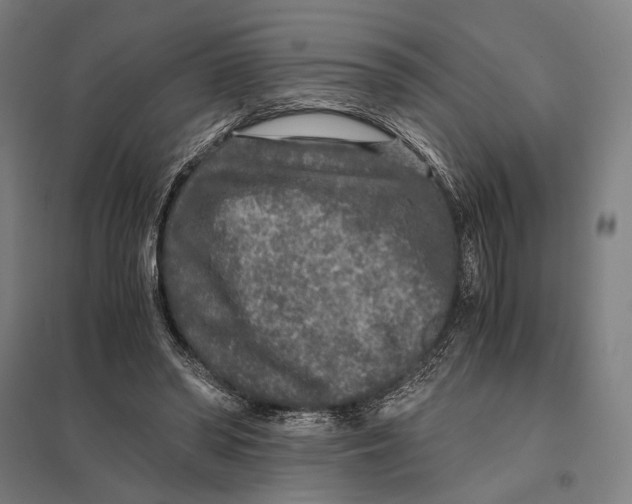 X0000097760398200803281639