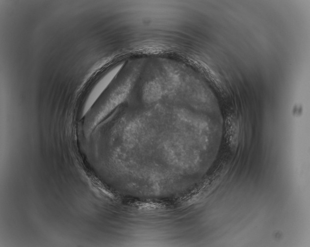 X0000097760400200803281639