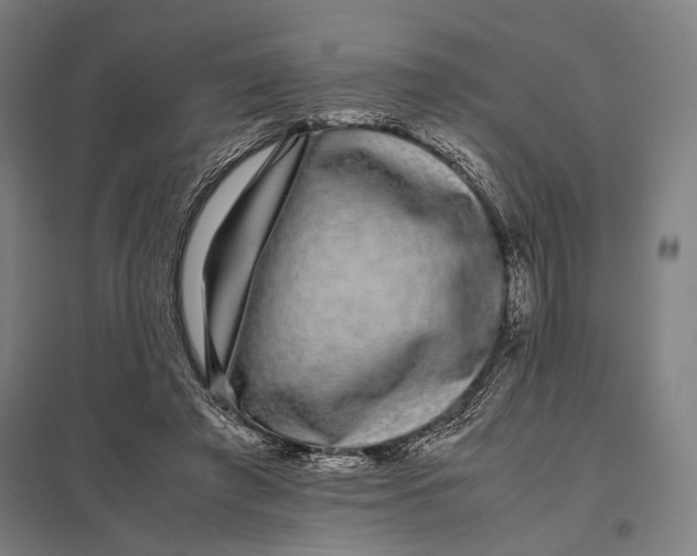 X0000097760401200803281639