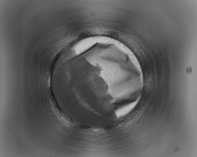 X0000097760402200803281639