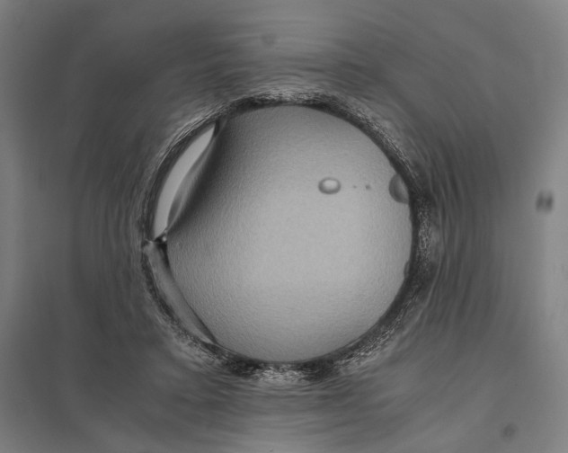 X0000097760403200803281638