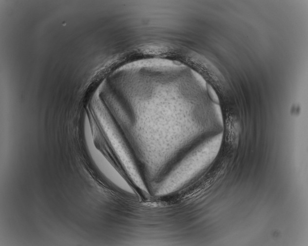 X0000097760404200803281638