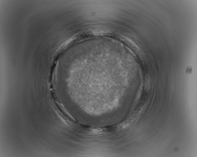 X0000097760405200803281638