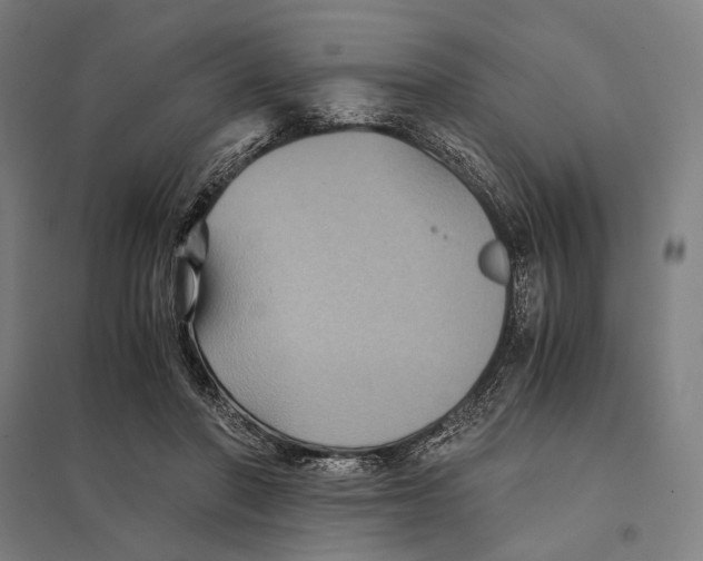 X0000097760406200803281638