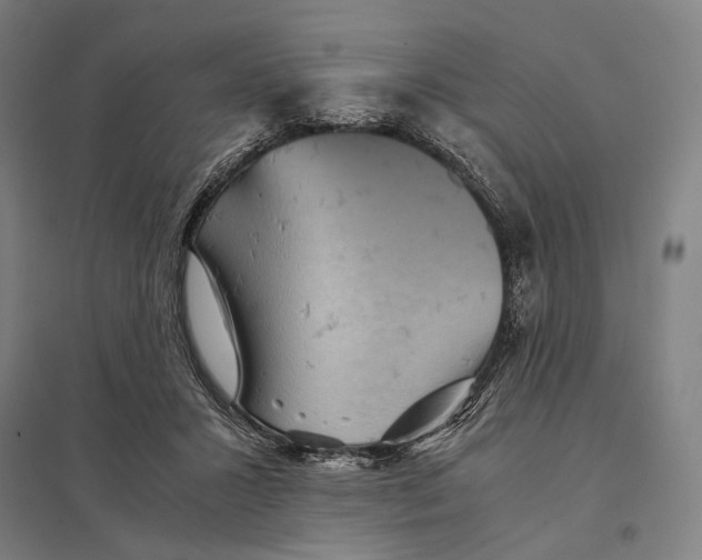 X0000097760407200803281638