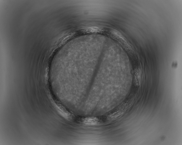 X0000097760410200803281638