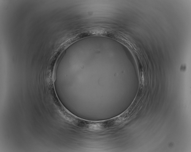 X0000097760411200803281638