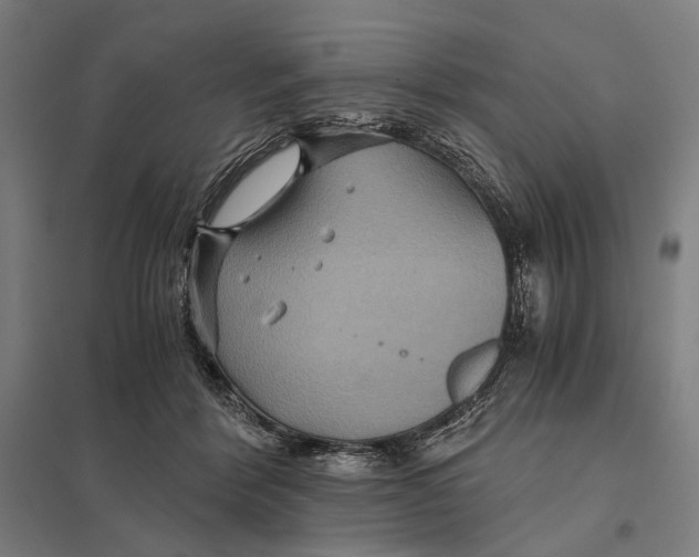 X0000097760412200803281638