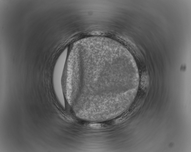 X0000097760413200803281638