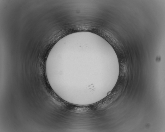 X0000097760414200803281638