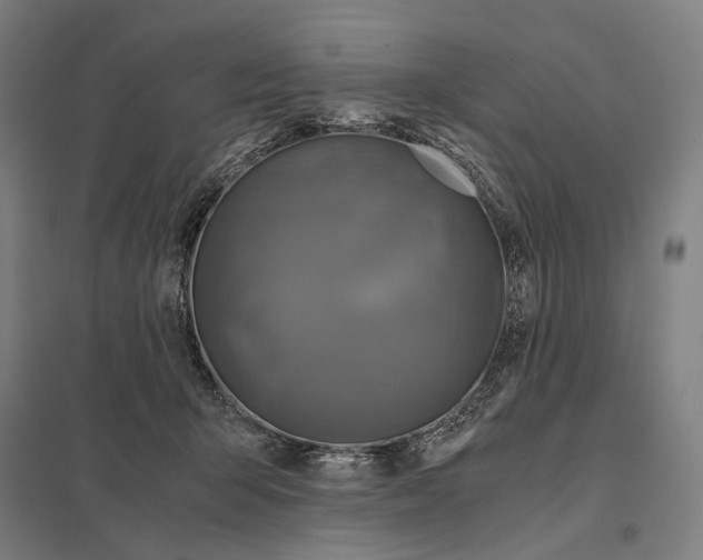 X0000097760415200803281638