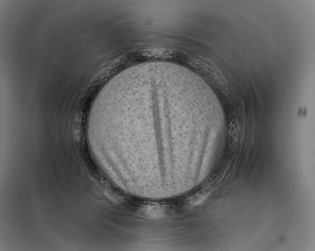 X0000097760416200803281638