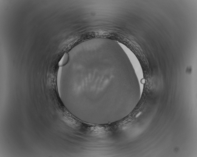 X0000097760419200803281638