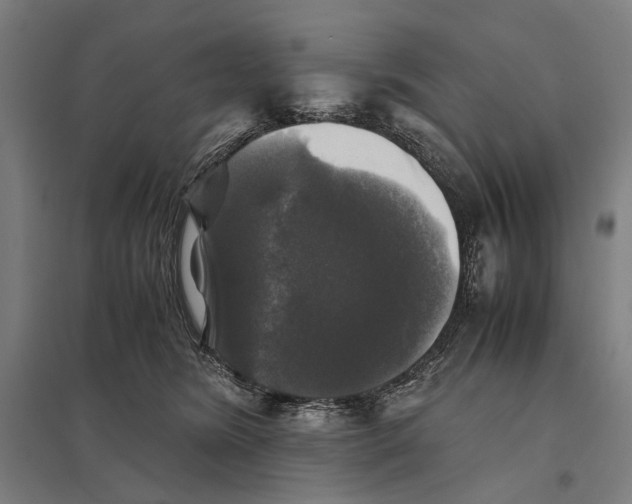 X0000097760420200803281638