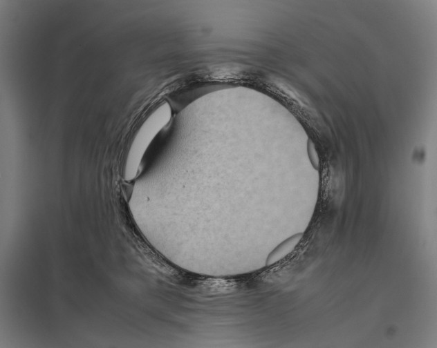 X0000097760421200803281638